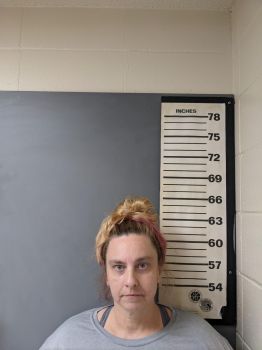 Michelle Leigh Casey Mugshot