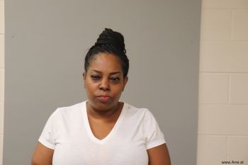 Michelle Dinese Freeman Mugshot