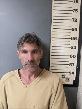 Mickey Lee Harrell Mugshot