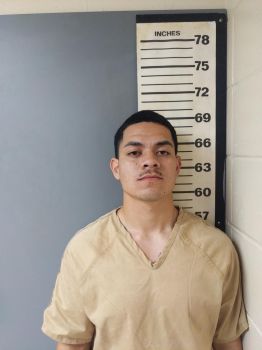 Nathan Faafana Harmon Mugshot