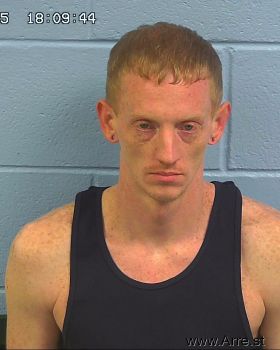 Nicholas Wade Ingram Mugshot