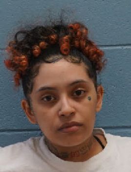 Nicole Hill Alexandria Mugshot