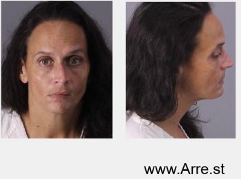 Pamela Annette Price Mugshot