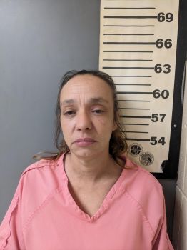 Patricia Louise Butler Mugshot