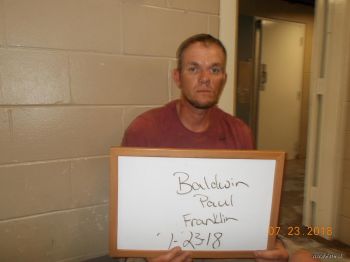 Paul  Baldwin Mugshot