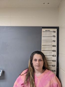 Priscilla Lucille Grissett Mugshot