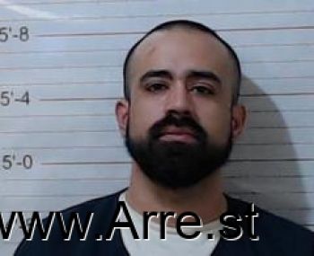 Ricardo  Castellanos Mugshot