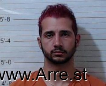 Roberto  Burgos-brignoni Mugshot