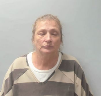 Rita Turley Puls Mugshot