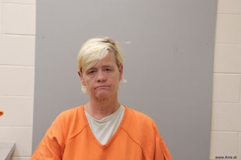 Rita Lynn Wilson Mugshot