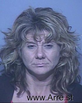 Robin Cheryl Lawson Mugshot