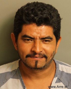 Rogelio  Diaz-arriaga Mugshot