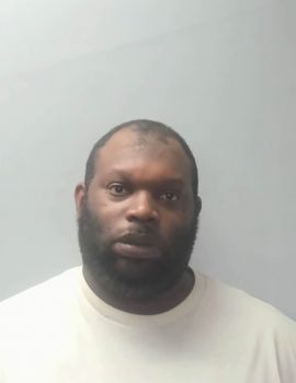 Ronnie  Robinson Mugshot