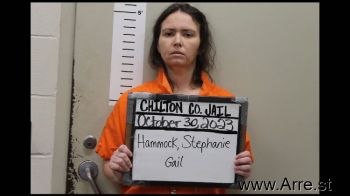 Stephanie Gail Hammock Mugshot