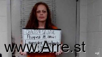 Stephanie Diane Lavender Mugshot