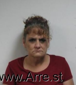 Susan  Sipes Mugshot