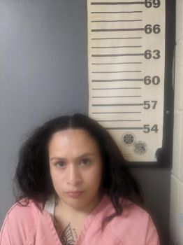 Sabrina Marie Silva Mugshot