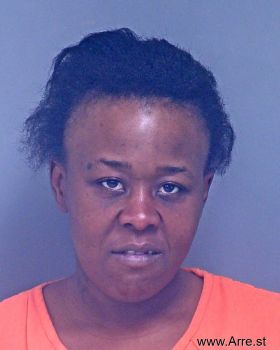 Sarah Janice Holloway Mugshot