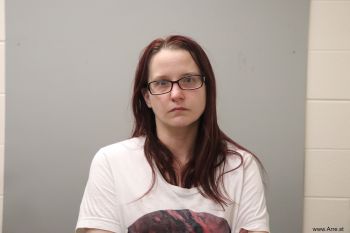 Sarah Nicole Price Mugshot