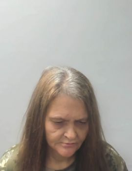 Sheena Daniele Wells Mugshot