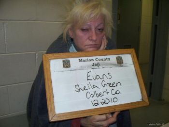 Sheila  Evans Mugshot