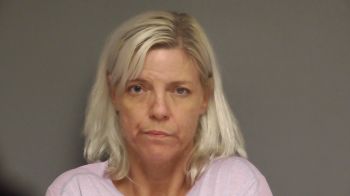 Sherrie Lee Mcgill Mugshot