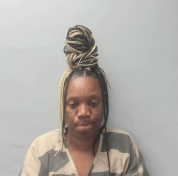 Stephanie Champion Brown Mugshot