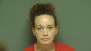 Stephanie Suanne Johnson Mugshot