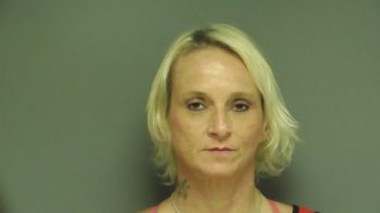 Stephanie Lynn Mulkey Mugshot