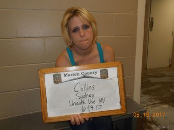 Sydney  Collins Mugshot