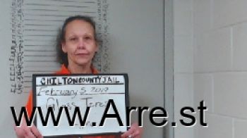 Teresa Lyn Glass Mugshot