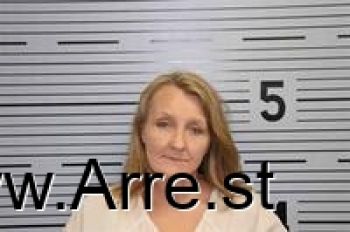 Terri Lynn Martin Mugshot