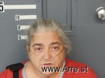 Tina Sue Robinson Mugshot