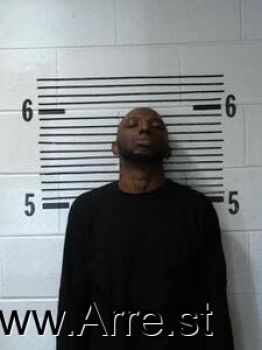 Travis  Palmer Mugshot