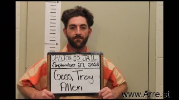 Troy Allen Goss Mugshot