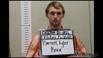 Tyler Knox Burnett Mugshot