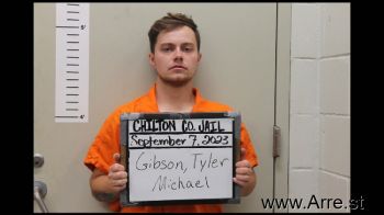 Tyler Michael Gibson Mugshot