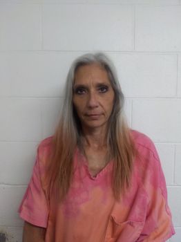 Tammy Michele Blocker Mugshot