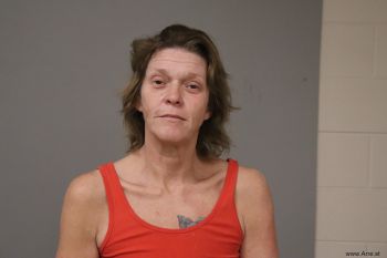 Tammy Lynn Hillis Mugshot