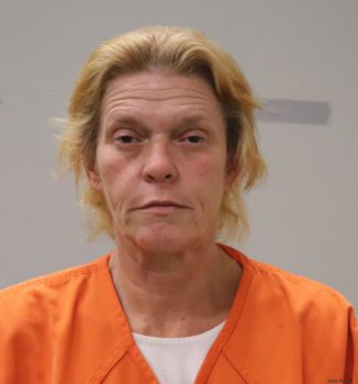 Tammy Lynn Hillis Mugshot