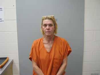 Tammy Lynn Hillis Mugshot