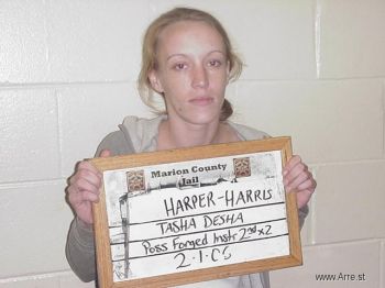 Tasha  Harris Mugshot