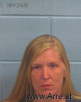 Taylor Dawn Anderson Mugshot