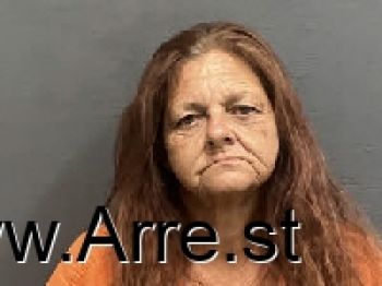 Terrie Lynn Jones Mugshot