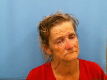 Theresa Scott Adams Mugshot