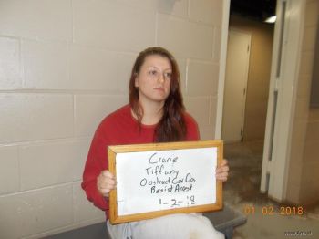 Tiffany  Crane Mugshot