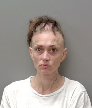 Tiffany Darlene Dalton Mugshot