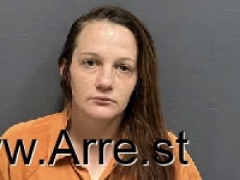 Tiffany Leann Mcelroy Mugshot