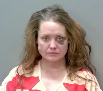 Toni Beth Porter Mugshot