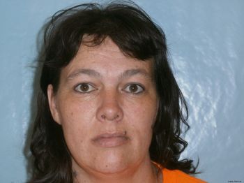 Tonya Lynn Johnson Mugshot